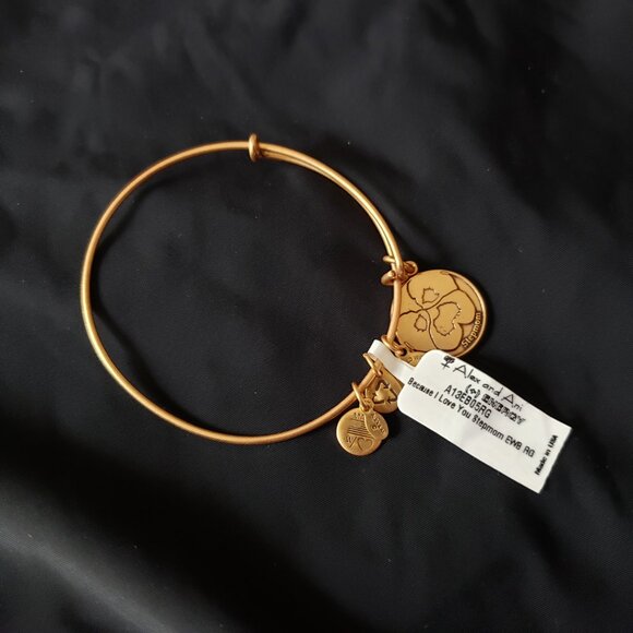 ☮️ New Alex and Ani Because I Love You Stepmom EWB RG  Bracelet Bangle   4 - Picture 2 of 5